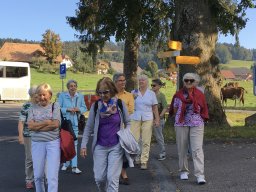 Seniorinnenreise 2020