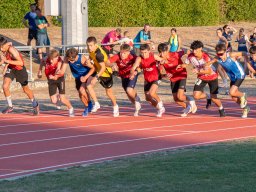 MSW_8138
